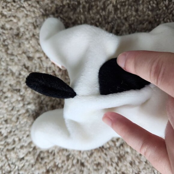 Ty Beanie Baby Bundle - Dogs Spunky, Dotty, Pugsly, Spot, Nanook, Bruno … - Picture 10 of 16